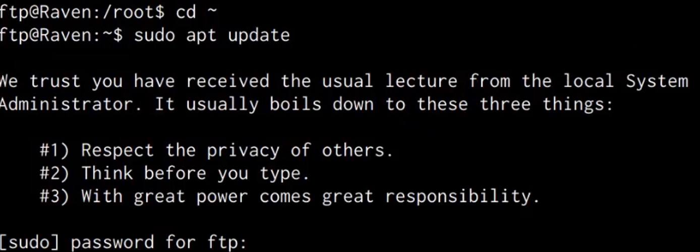 sudo apt update command